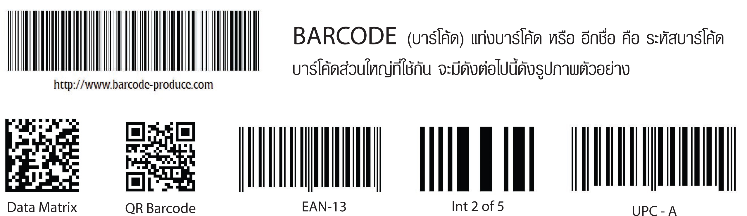 BARCODE,บาร์โค้ด,แท้งบาร์โค้ด,รหัสบาร์โค้ด,เกี่ยวกับบาร์โค้ด,เครื่องอ่านบาร์โค้ด,เครื่องแสกนบาร์โค้ด,Data Matrix,QR Barcode